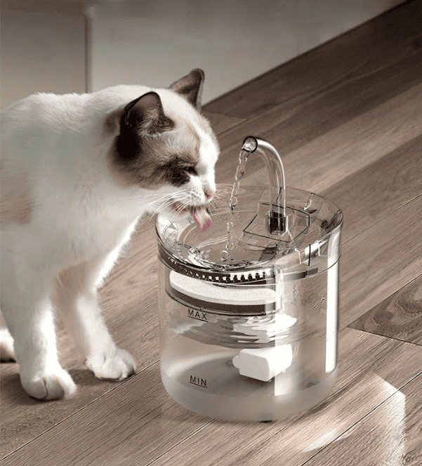 FUENTE DE AGUA PARA GATO TRANSPARENTE