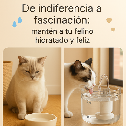 FUENTE DE AGUA PARA GATO TRANSPARENTE
