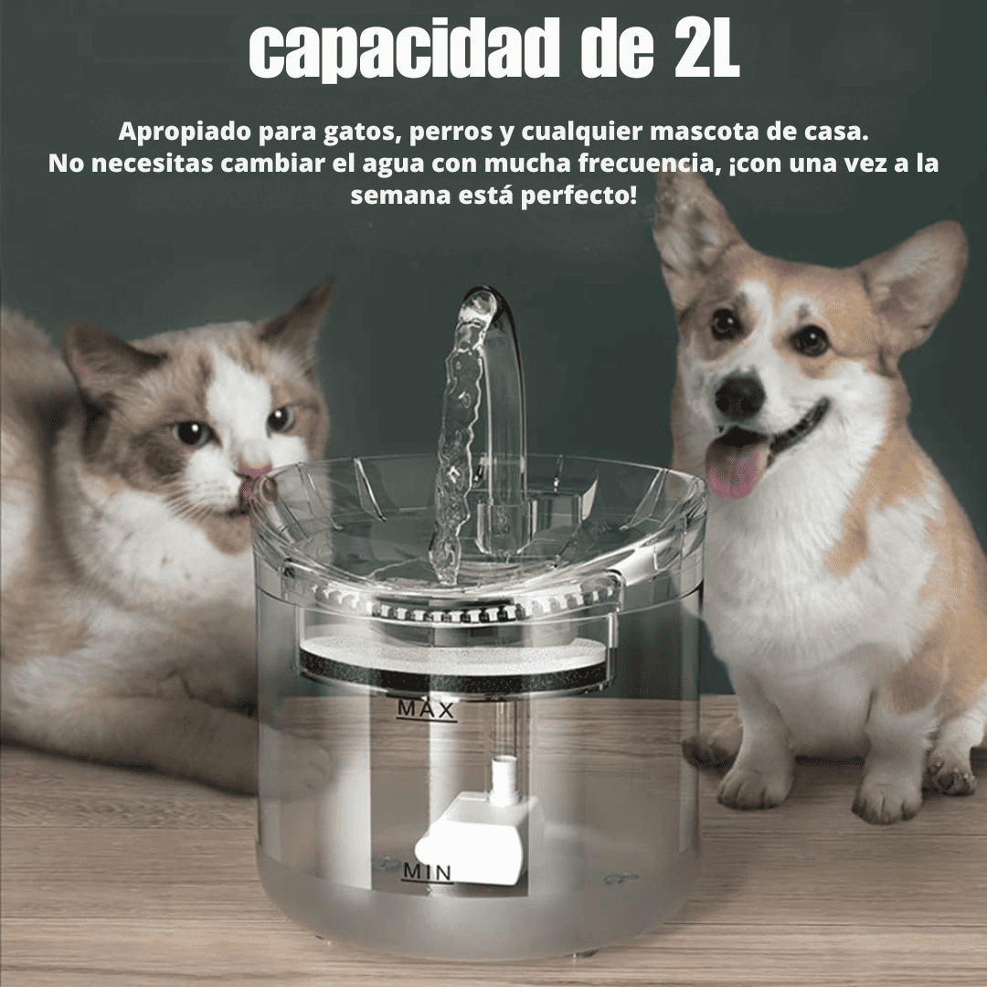 FUENTE DE AGUA PARA GATO TRANSPARENTE